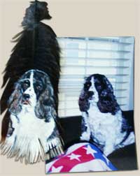 Pet Portraits by Peg Fennimore