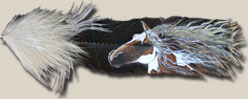 Wild Stallion - A horse Painting