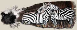 Zebras Painting